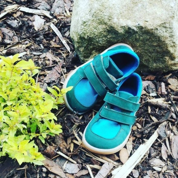 Baby Bare FEBO Sneakers Pine Green - Mugavik Barefoot