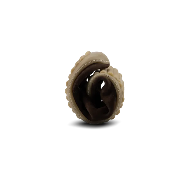 leguano dean mocha - Image 4
