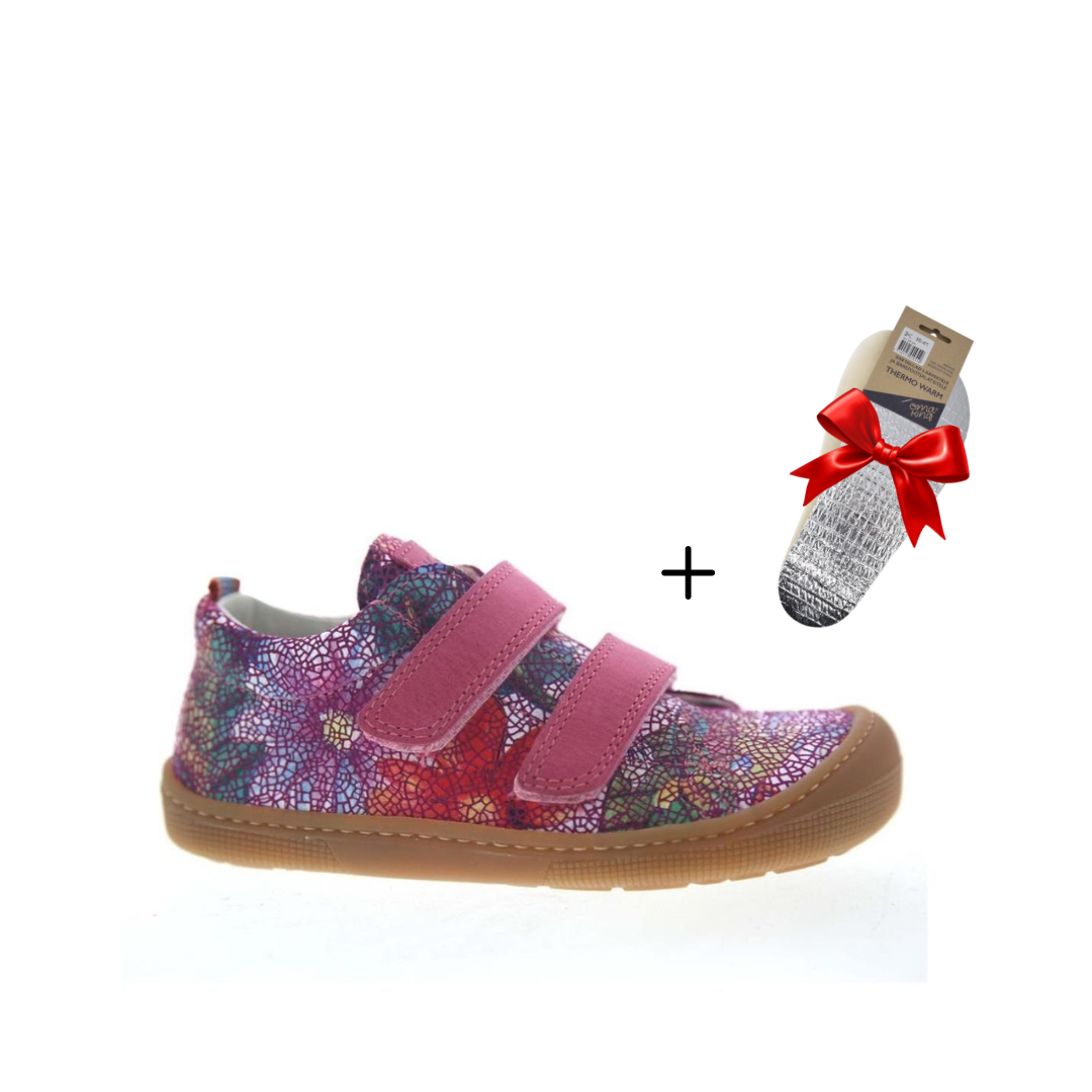 Koel Danny Fantasy Fuchsia Flowers + GIFT 🎁